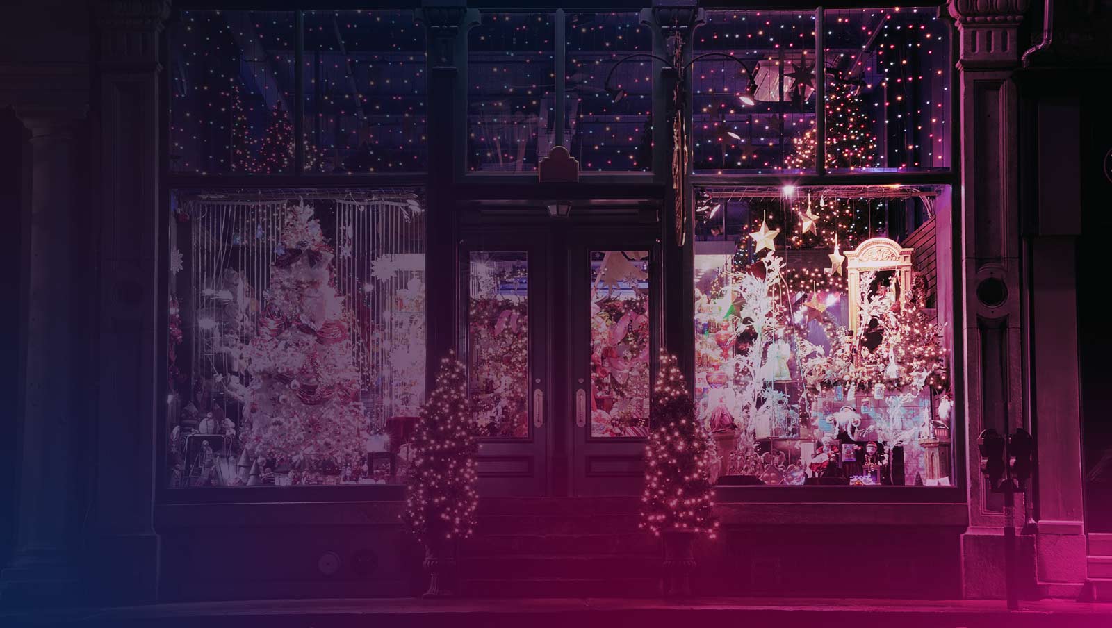 image of holiday lights in store front